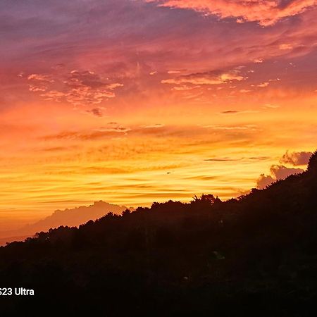 Finca Paraiso Mountain Retreat Near San Jose Airport Birrí エクステリア 写真