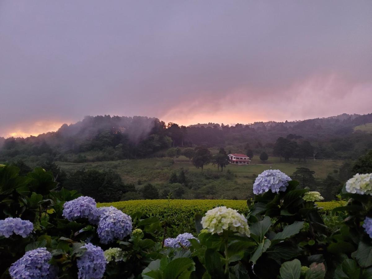 Finca Paraiso Mountain Retreat Near San Jose Airport Birrí エクステリア 写真