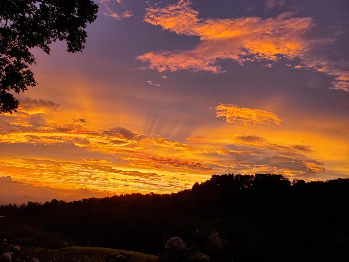 Finca Paraiso Mountain Retreat Near San Jose Airport Birrí エクステリア 写真
