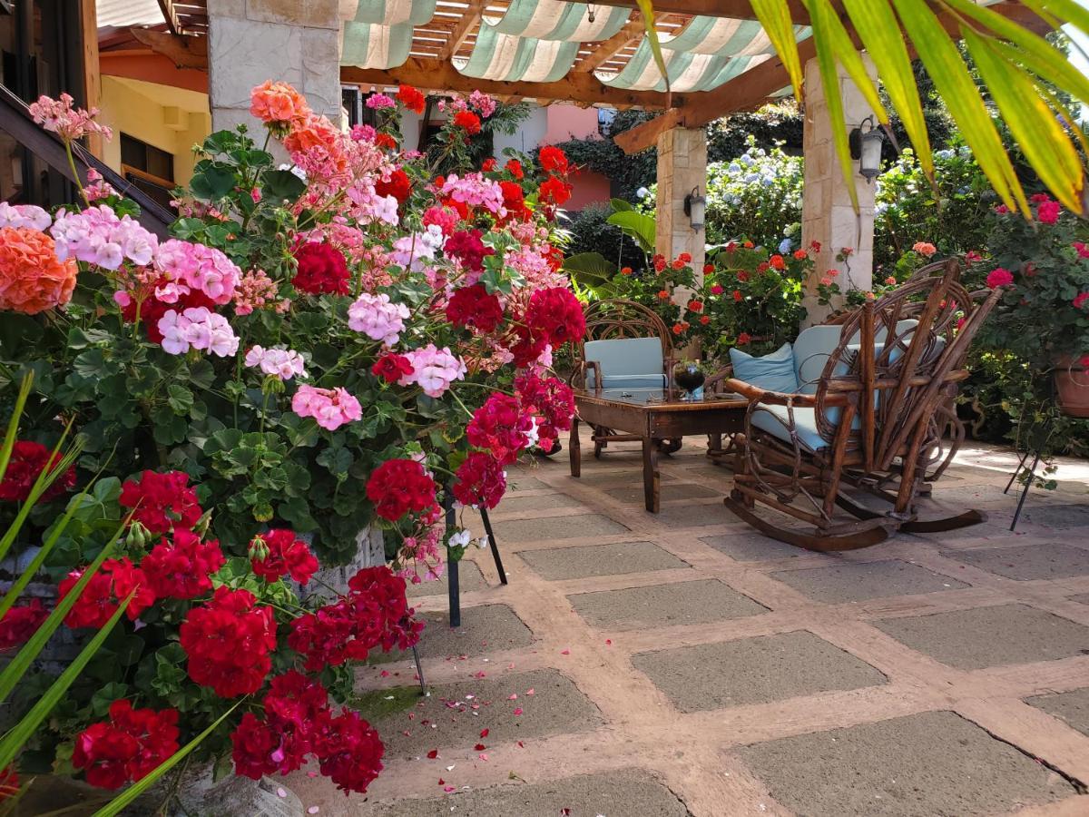 Finca Paraiso Mountain Retreat Near San Jose Airport Birrí エクステリア 写真