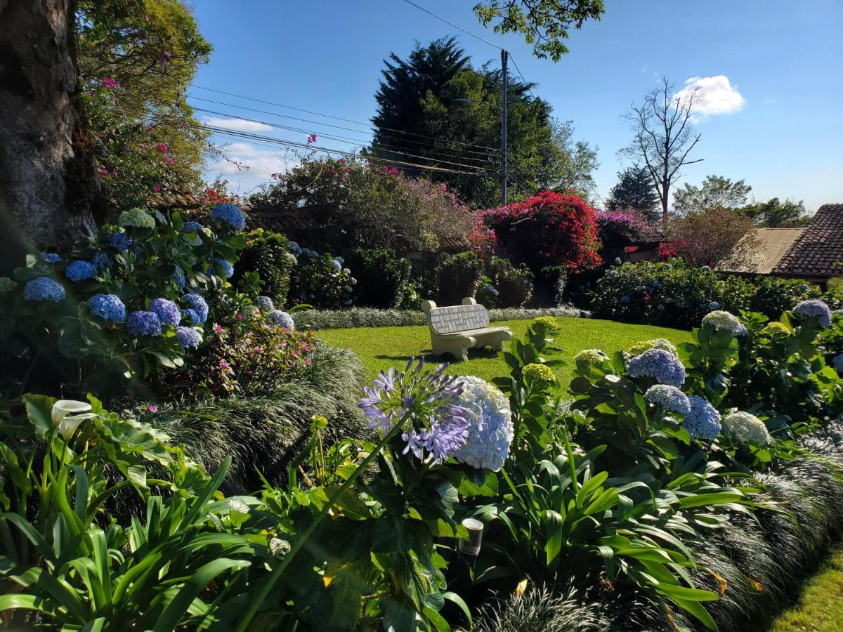 Finca Paraiso Mountain Retreat Near San Jose Airport Birrí エクステリア 写真