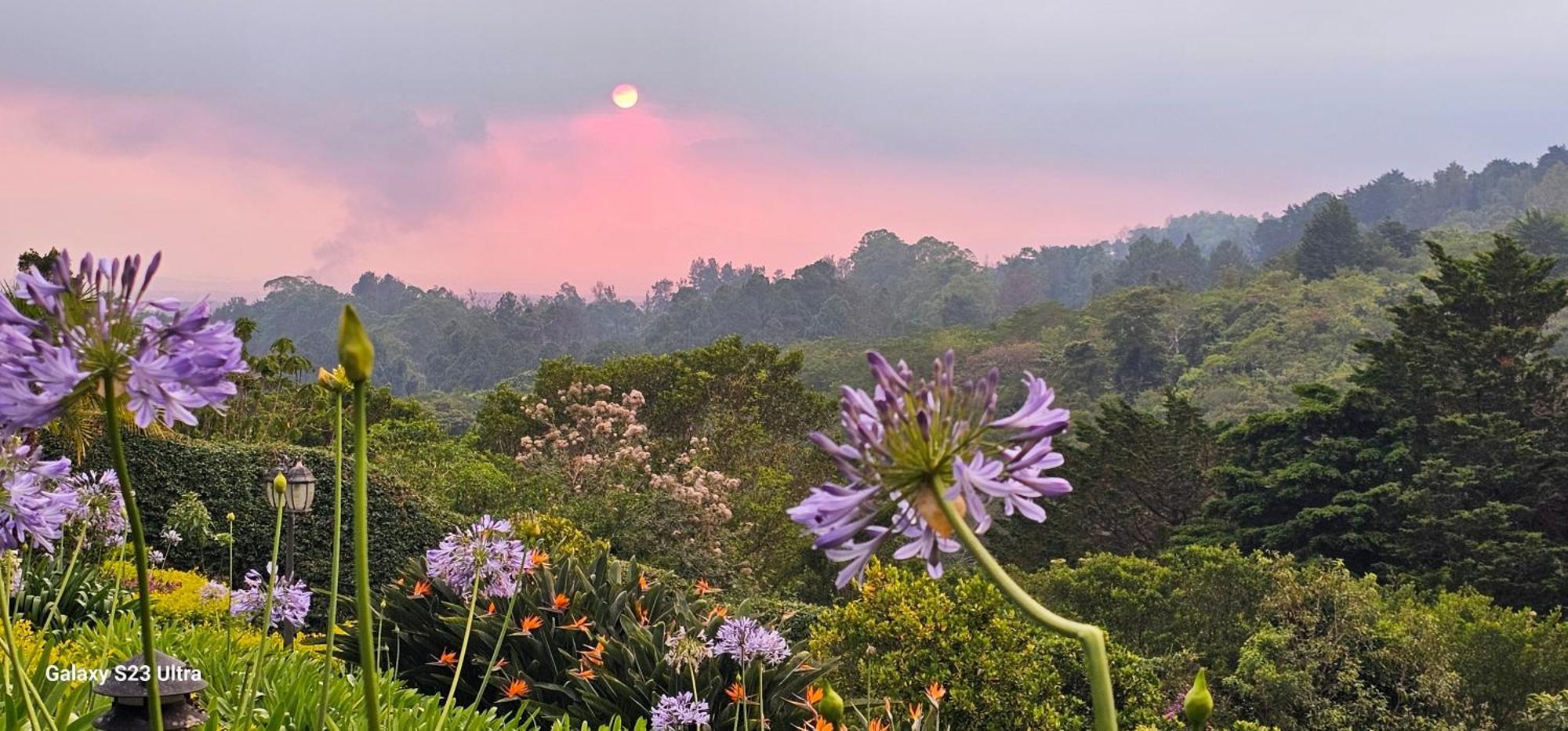 Finca Paraiso Mountain Retreat Near San Jose Airport Birrí エクステリア 写真